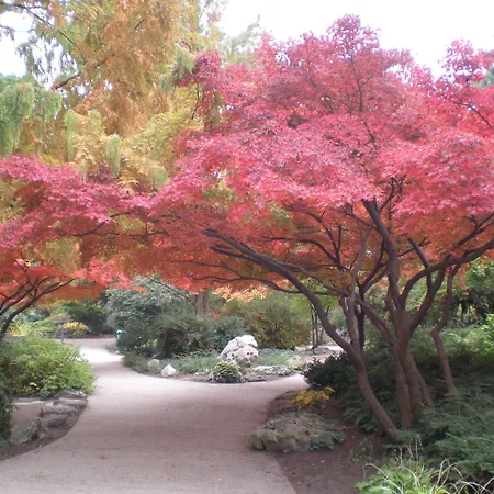 Ensana Grand Margaret Island מלון 4*